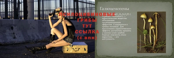 бошки Алексин
