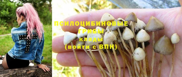 шишки Алзамай