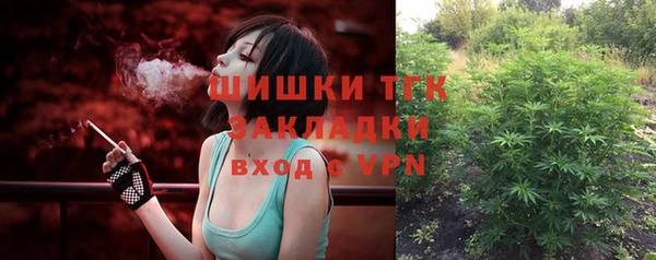 шишки Алзамай